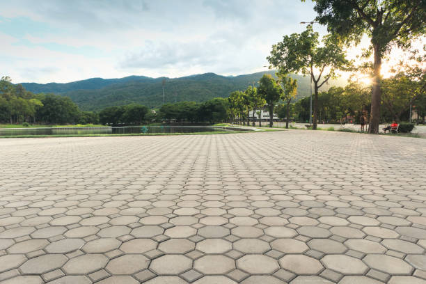 Best Custom Driveway Pavers  in Miramar Beach, FL